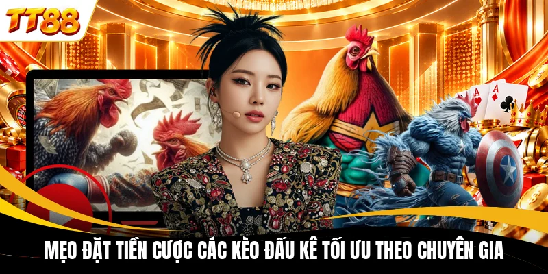 meo dat tien cuoc cac keo dau ke toi uu theo chuyen gia Mẹo đặt tiền cược các kèo đấu kê tối ưu theo chuyên gia